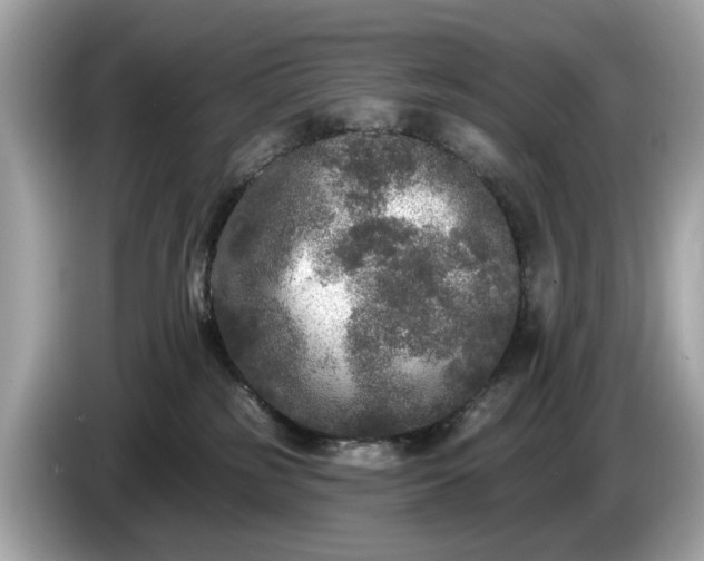 X0000085080185200703191333