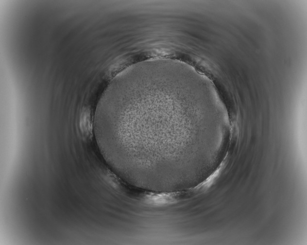 X0000085080186200703191333