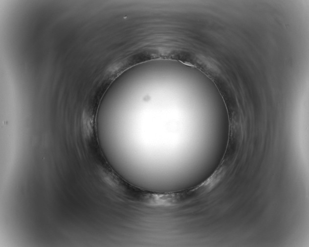 X0000085080188200703191333