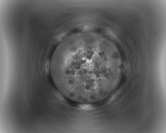 X0000085080189200703191333