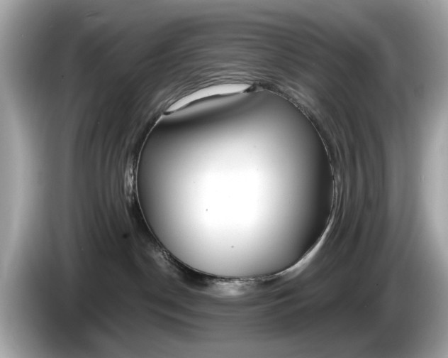 X0000085080190200703191333