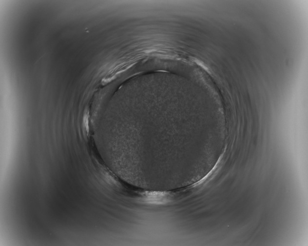 X0000085080192200703191333