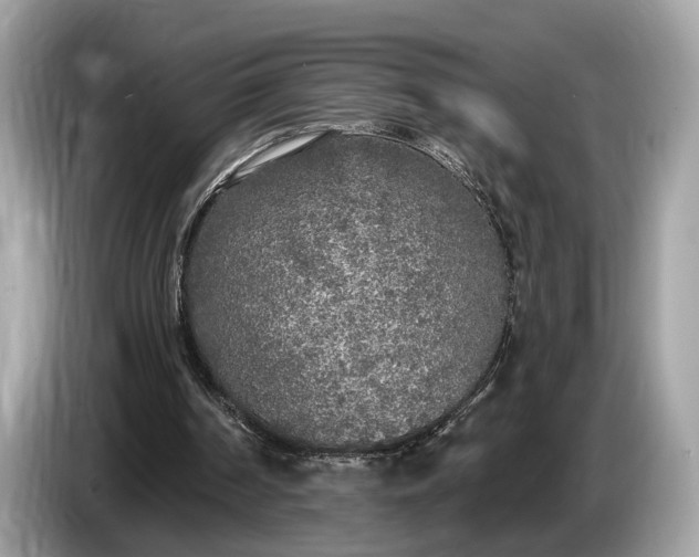 X0000085080194200703191332