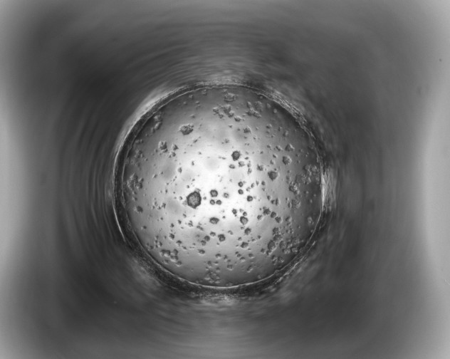 X0000085080195200703191332