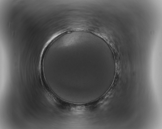 X0000085080196200703191332