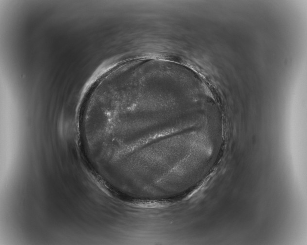 X0000085080198200703191332