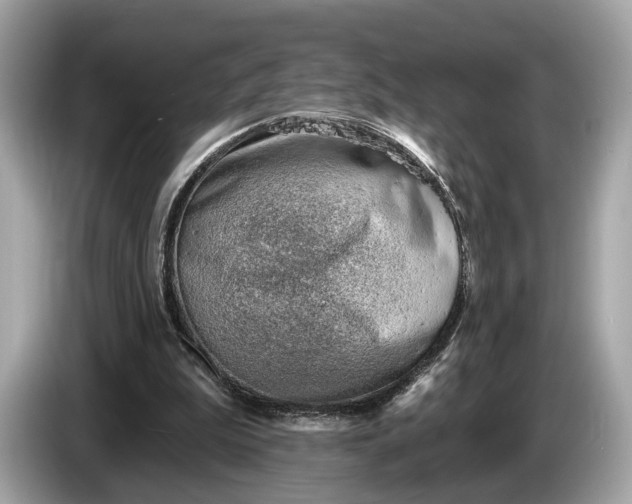 X0000085080199200703191332