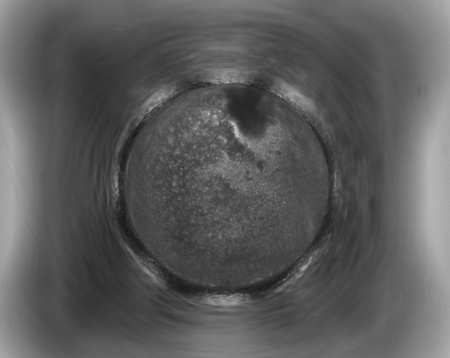 X0000085080202200703191332