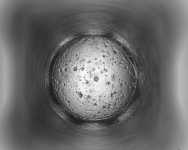 X0000085080203200703191332