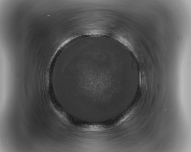 X0000085080204200703191332