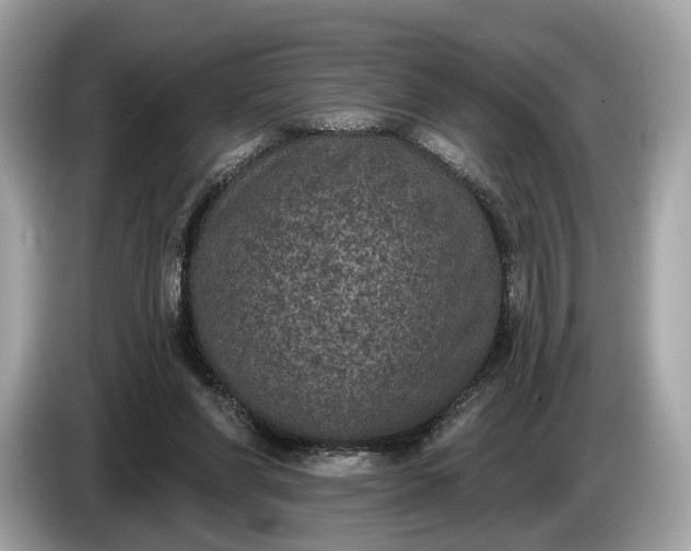 X0000085080206200703191332