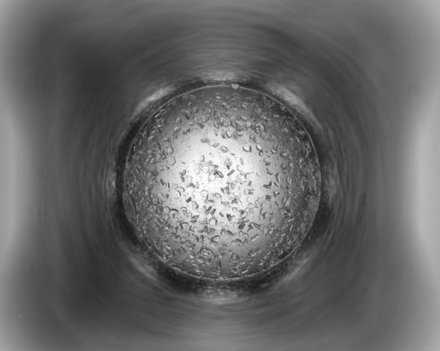 X0000085080207200703191332