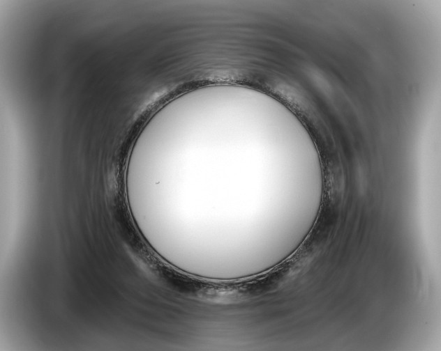 X0000085080208200703191332