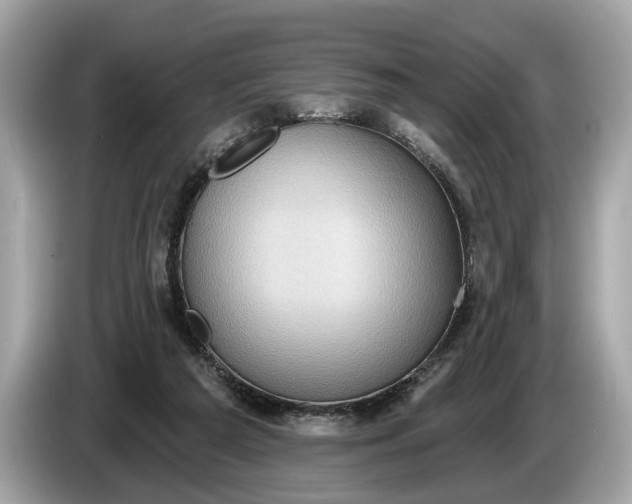 X0000085080209200703191332