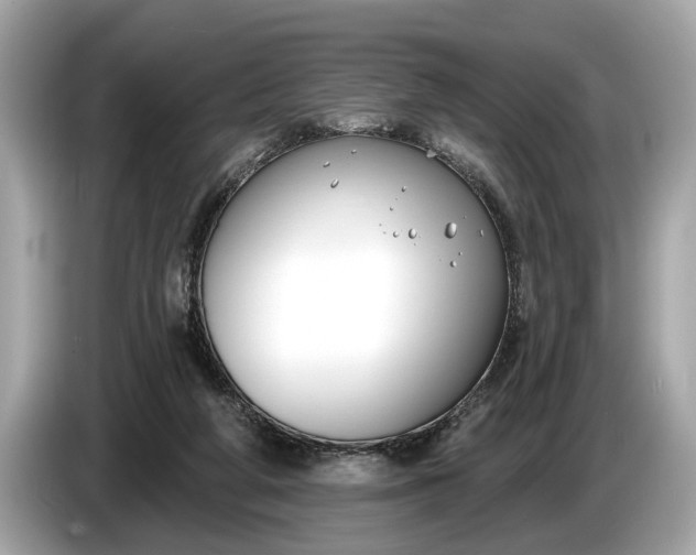 X0000085080210200703191332