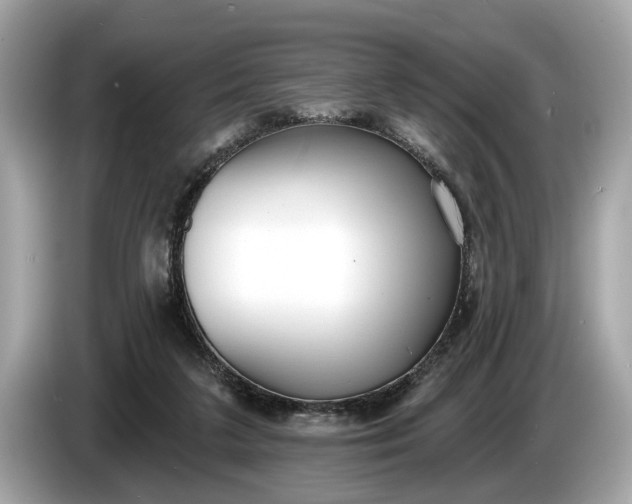 X0000085080211200703191332