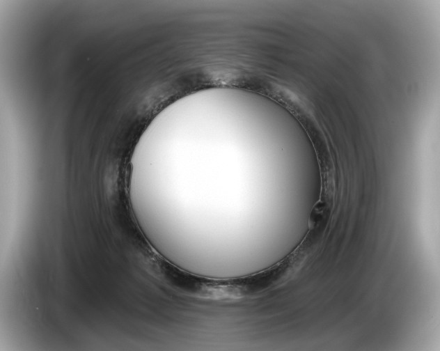 X0000085080221200703191332