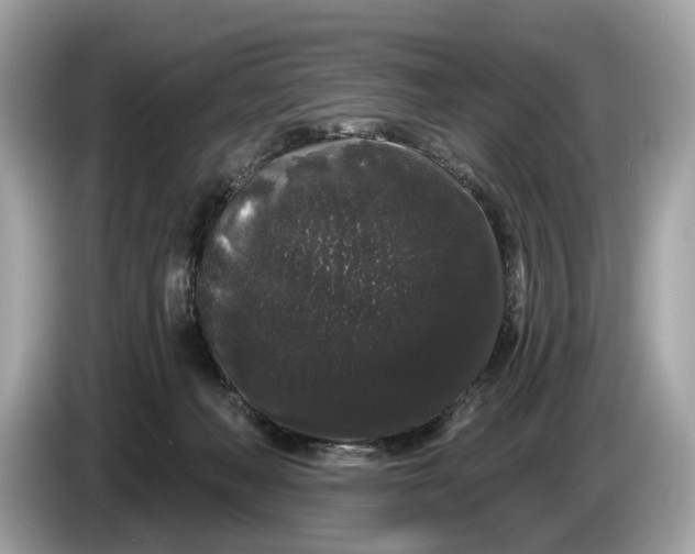 X0000085080222200703191332