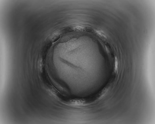 X0000085080223200703191332