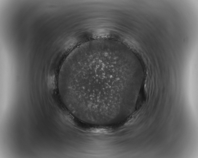 X0000085080224200703191332