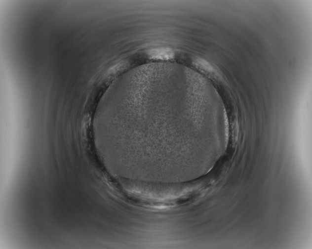 X0000085080229200703191332