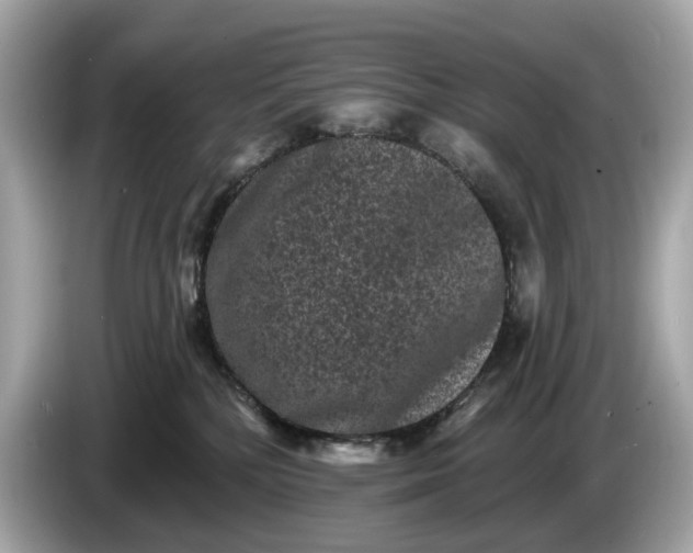 X0000085080232200703191332