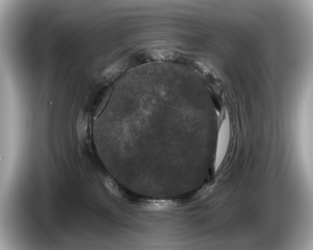 X0000085080233200703191332