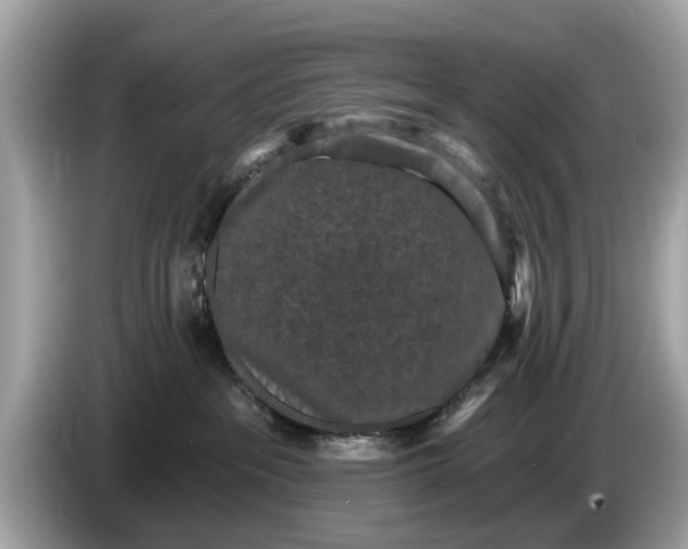 X0000085080237200703191332