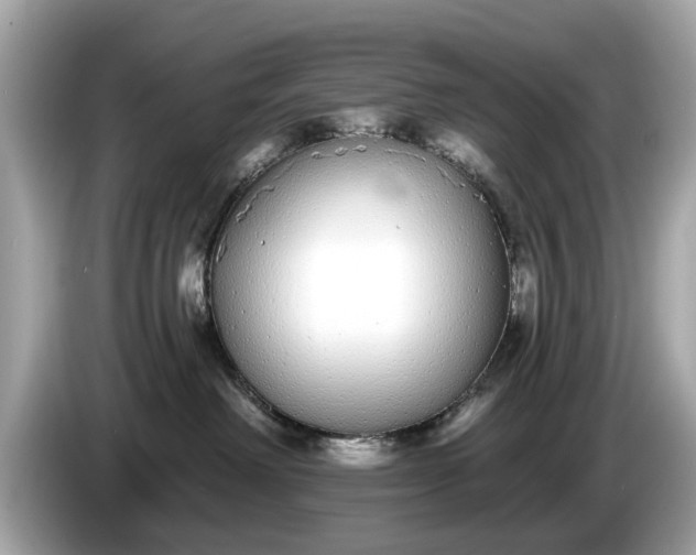 X0000085080238200703191332