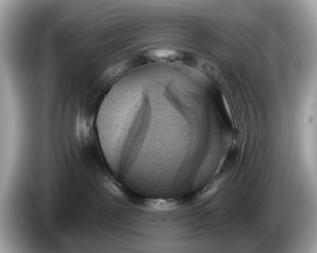 X0000085080239200703191332