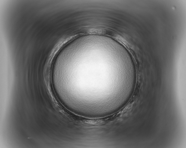 X0000085080241200703191331