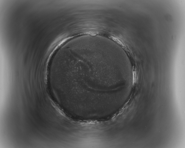 X0000085080243200703191331