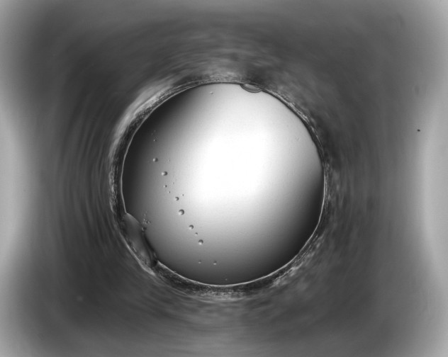 X0000085080245200703191331