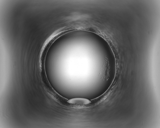 X0000085080246200703191331