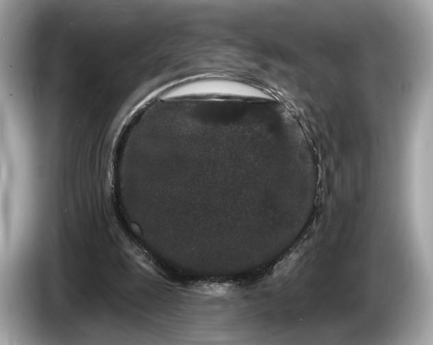 X0000085080247200703191331