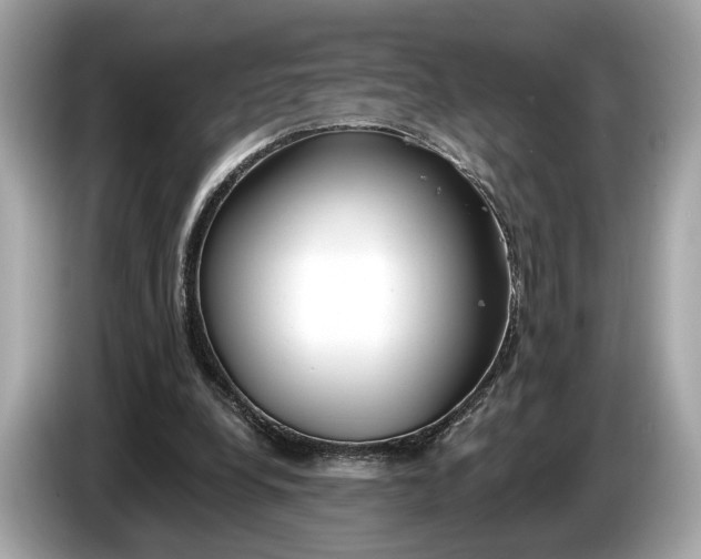 X0000085080248200703191331