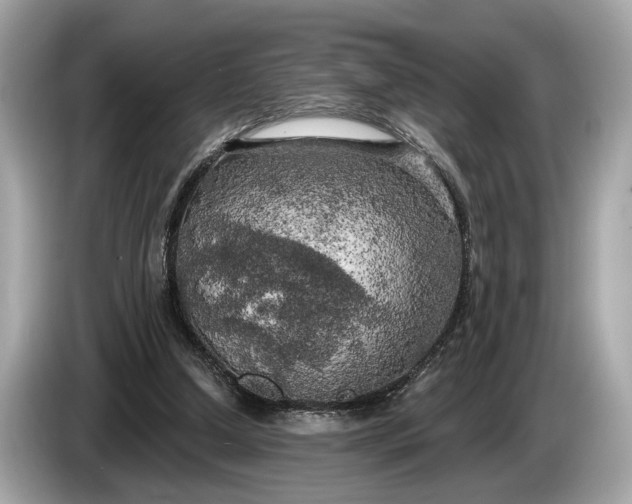 X0000085080250200703191331