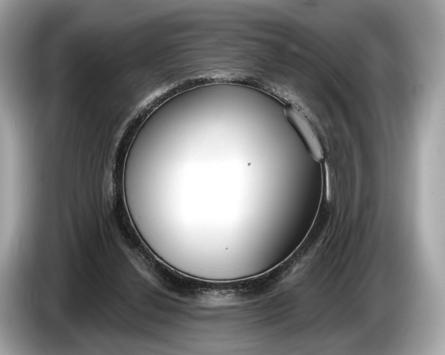 X0000085080252200703191331