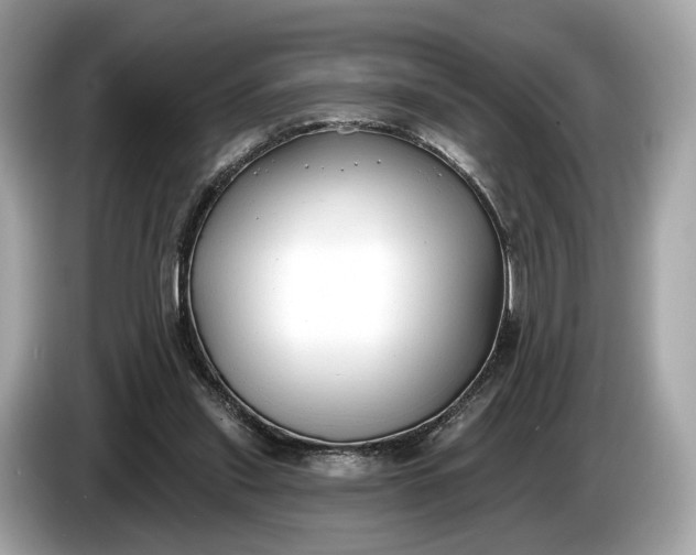 X0000085080253200703191331