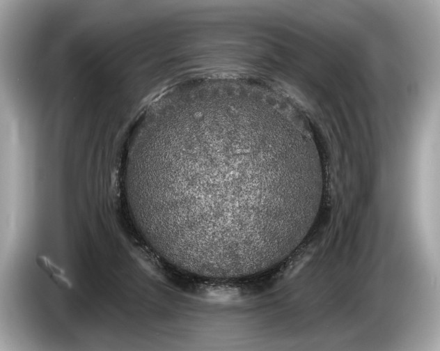 X0000085080258200703191331