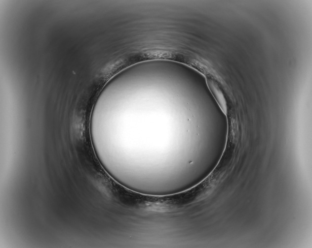 X0000085080259200703191331