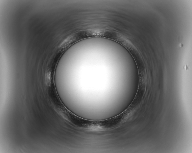 X0000085080262200703191331