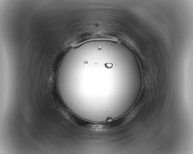 X0000085080265200703191331