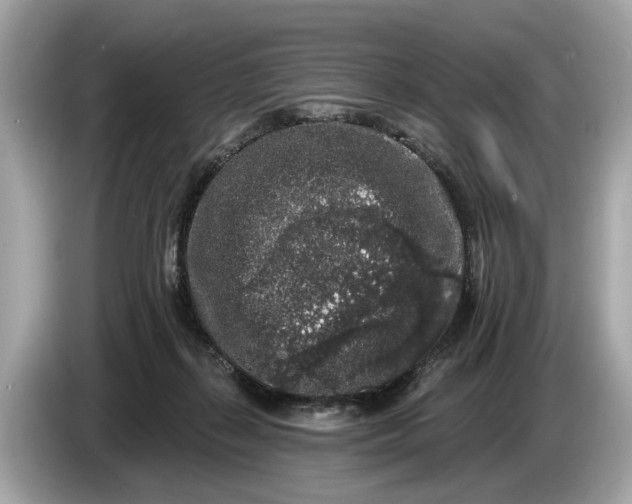 X0000085080267200703191331