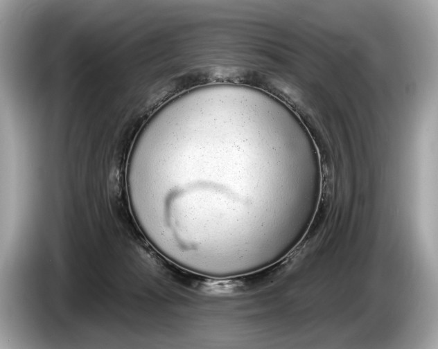 X0000085080269200703191331