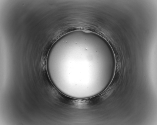 X0000085080273200703191331