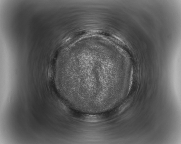 X0000085080277200703191331