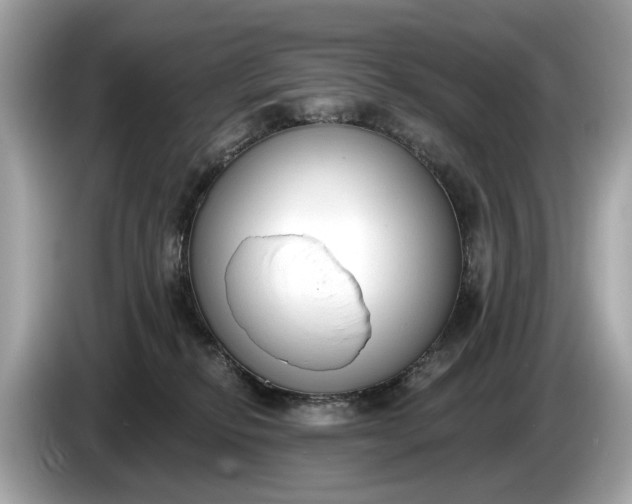 X0000085080278200703191331