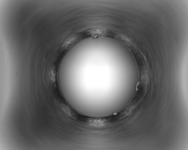 X0000085080282200703191331