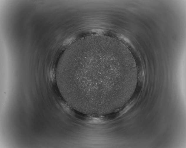 X0000085080285200703191331